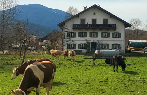 Biohof Dimper - HühnerNest - Foto 2