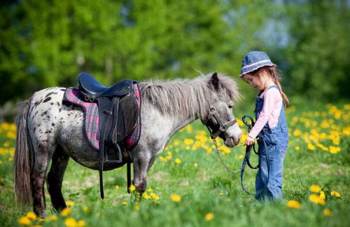 Résidence Villa Smeralda - Foto 46