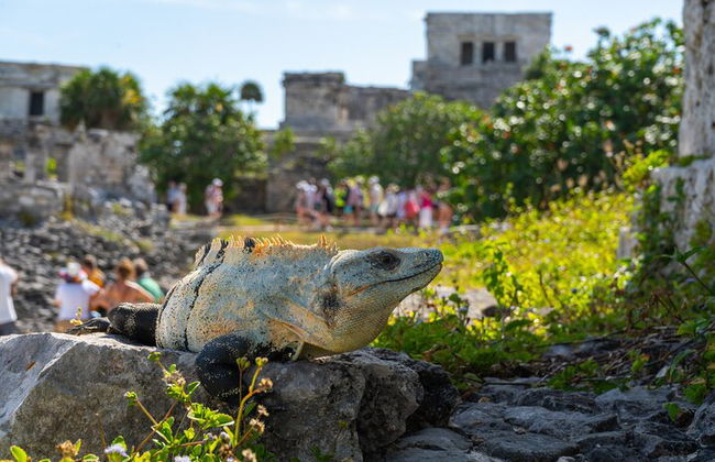 Tulum und Coba Ruinen mit einem Cenote Erlebnis - Foto 1