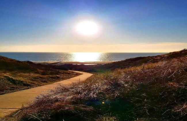 Sunny Zeeland Getaway - Photo 17