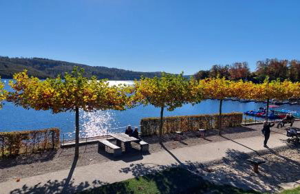 Panoramaferienhaus Sorpesee, 120qm - Photo 15