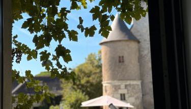 Meublés de Charme Romantique en Touraine - Foto 3