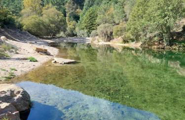 Lugar da Borralheira - Foto 36