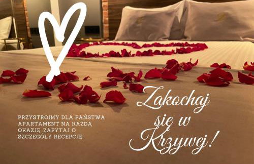 Aparthotel Krzywa Kamienica - Foto 32