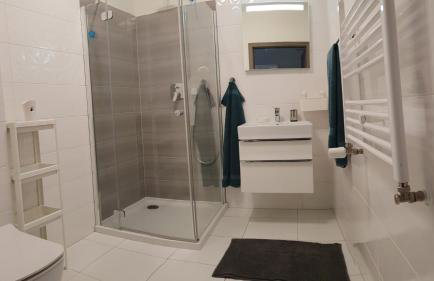 APARTAMENT 5 MÓRZ SPA - NA FALI - Foto 19