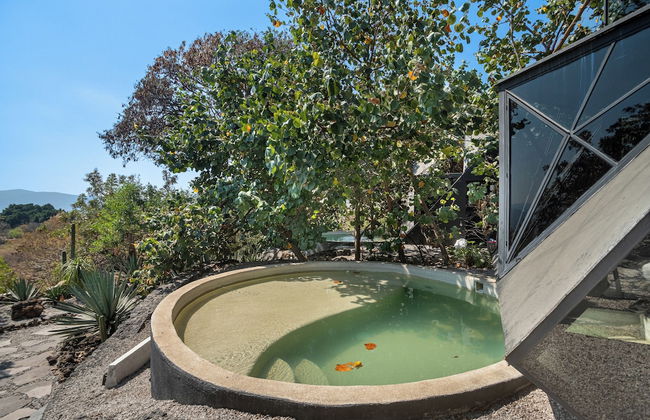 Bosque Geométrico - Foto 69