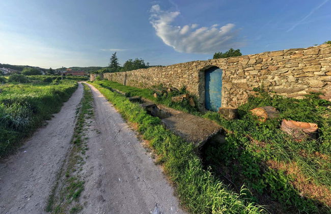 Cerveny Kamen Castle & Wine Route - Foto 1