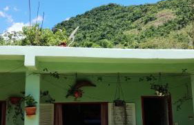 Lar do tio Roco em paraty - Foto 16