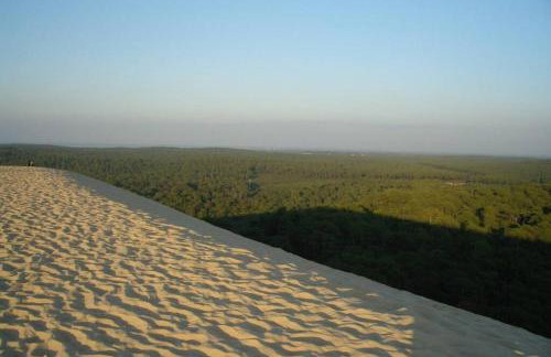 La cabane de Carol au coeur du bassin d'Arcachon - Foto 35