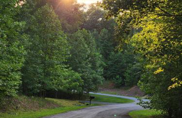 Wilderness retreat - Foto 18