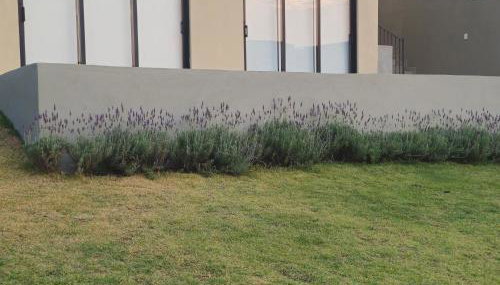 Studio Libertas - Foto 2, Garden