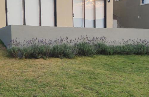 Studio Libertas - Foto 2