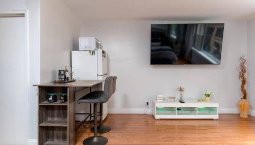 Downtown Boston Studio Central Location Famous Nightlife Chinatown with Bed Full of Promises! - Foto 5