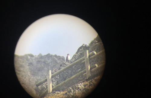 El Invernal de Picos - Photo 61