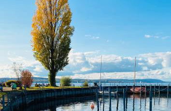 Meili's Haus - Foto 38