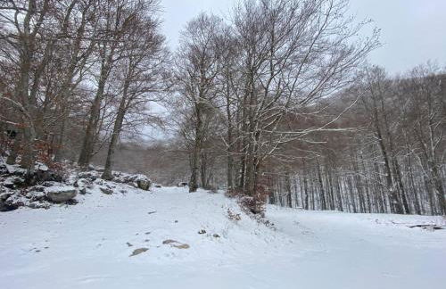 La casa nel bosco-Val Granara guesthouse - Foto 17