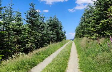 Sauerländer Henne-Lütt - Foto 22