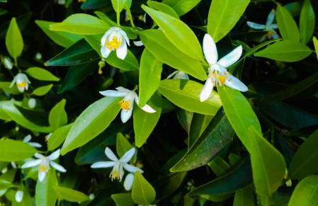 Il Giardino del sole - Foto 114