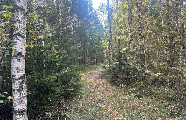 2 Person Holiday Home in Burseryd - Foto 20