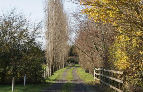 Blenheim Lodge - Foto 40