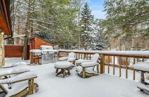 The Magic Teacup - Photo 38