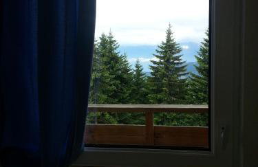 Appartements Le Clos des Gentianes - Foto 18