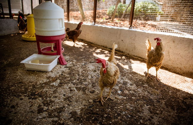 Agriturismo Salinola - Foto 78