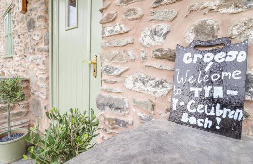 Tyn Y Ceubren Bach at Evelyns Retreat - Foto 6