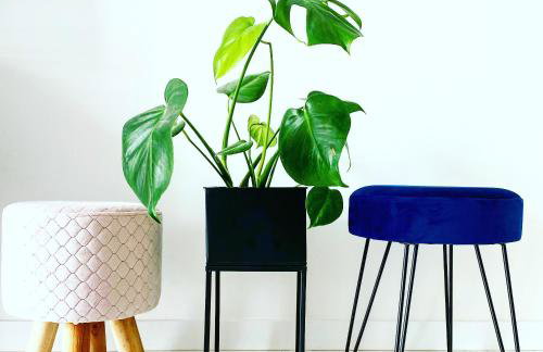 Apartament MONSTERA - Foto 32