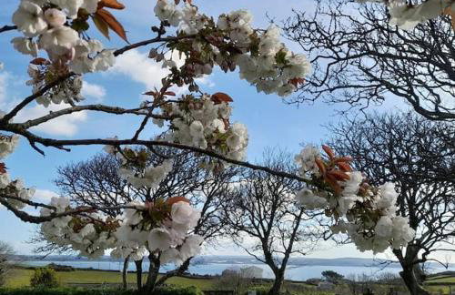 Corvus - Beautiful cottage half a mile from Mousehole - Photo 72