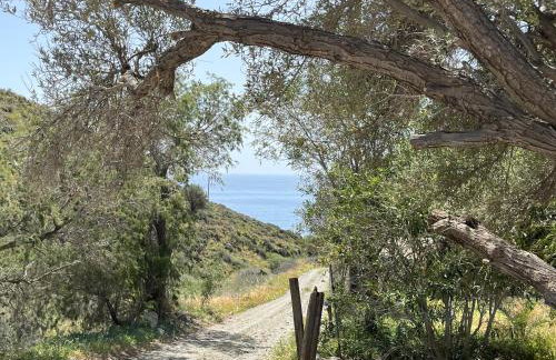 Ferienhaus Asterousia - Foto 28