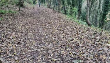 4 Bedroom Detached Holiday home with Hot Tub - Foto 5