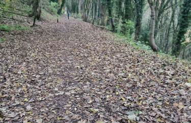 4 Bedroom Detached Holiday home with Hot Tub - Foto 5