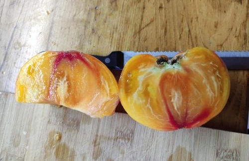 Mirador De Picos - Foto 41