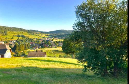 Echtes Schwarzwaldhaus - Traditionell & Modern - Foto 37