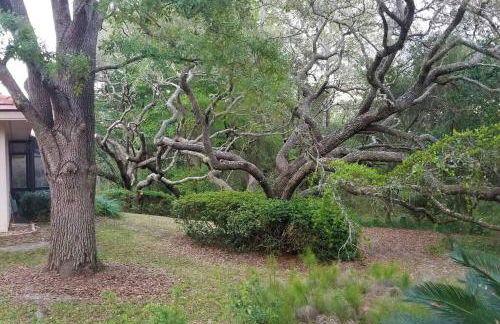 Black Diamond Beauty with Concierge Service - Photo 28