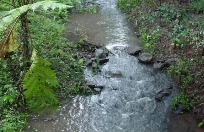 Treetops Accommodation Montville - Foto 61