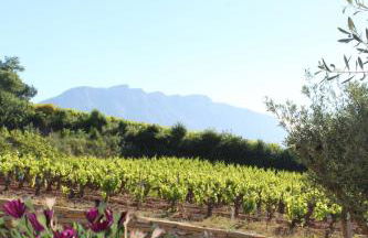 La Bastide - Le Grenache - Le Syrah au Domaine Chateau Henri Bonnaud - Foto 58