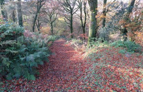 Blaenfforest Rose Cottage Newcastle Emlyn - Photo 25