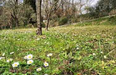 La Gesualda locazione turistica - Foto 53