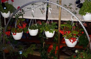 Andela Apartment - Foto 22