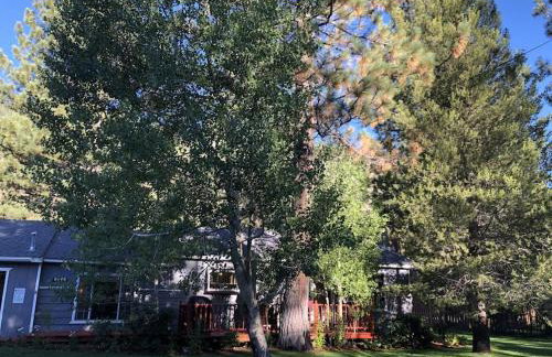 Tahoe Cottage perfect for couples and outdoor enthusiasts - Foto 2