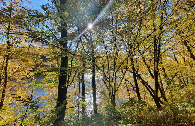 Ferienhaus Bude 92 - Foto 36