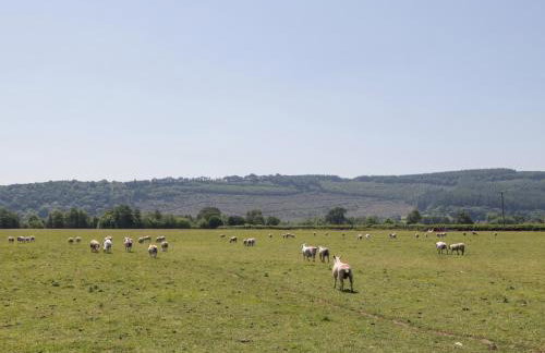 Lower Court Byre - Foto 56