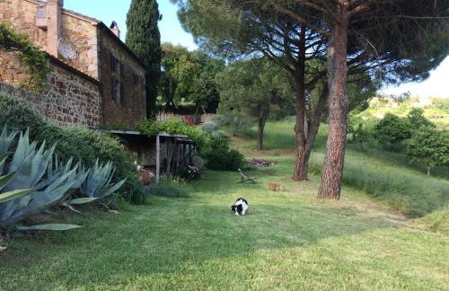 Nocini di Maremma - Photo 12