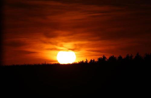 Birkenhäusle Trautmannshofen - Foto 4