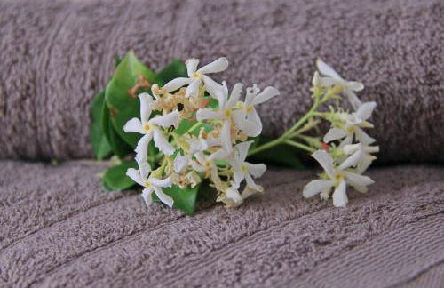 Villa Dana - Foto 19