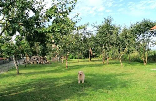 Hof am Meer "Seestern" - Foto 38