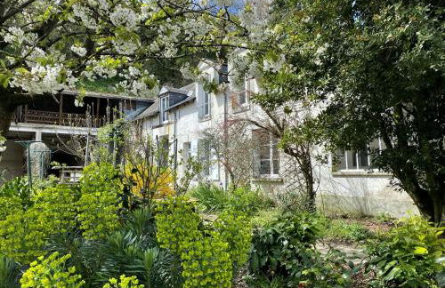 Gîte rénové avec piscine au cœur de Vendôme - Foto 2