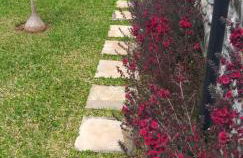 the old school - Foto 12